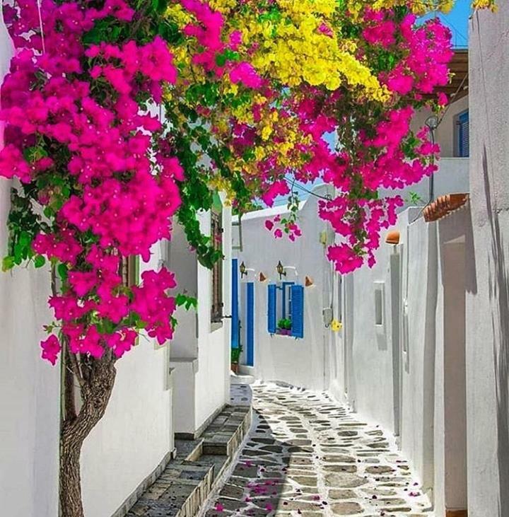 Melina'S House Mykonos Town Leilighet Eksteriør bilde